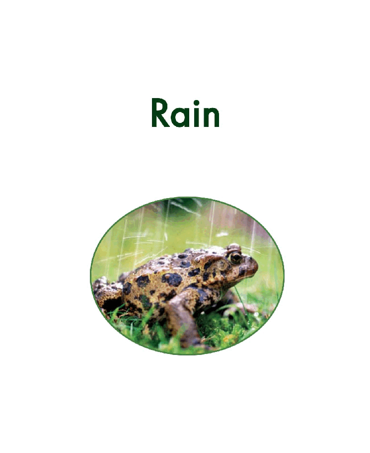 英国海尼曼GK级英语启蒙绘本043Rain.pdf,第3页预览
