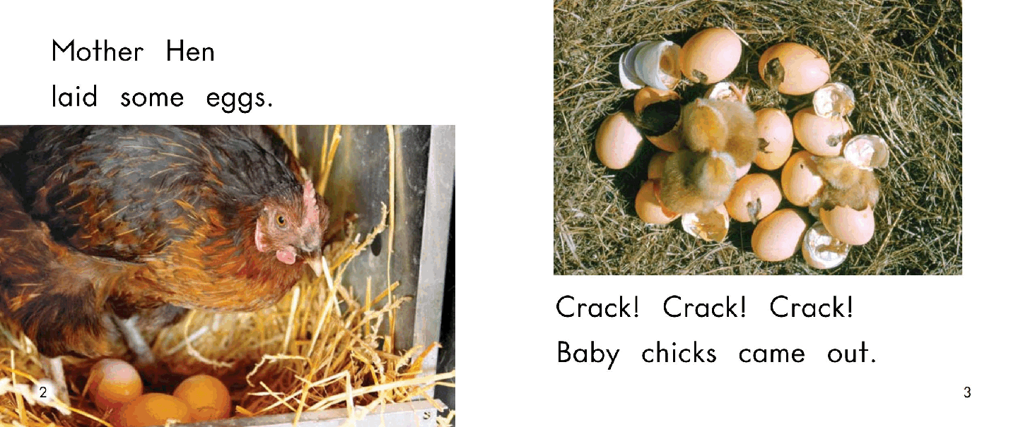 英国海尼曼G1级英语启蒙绘本08 Eggs.pdf,第4页预览