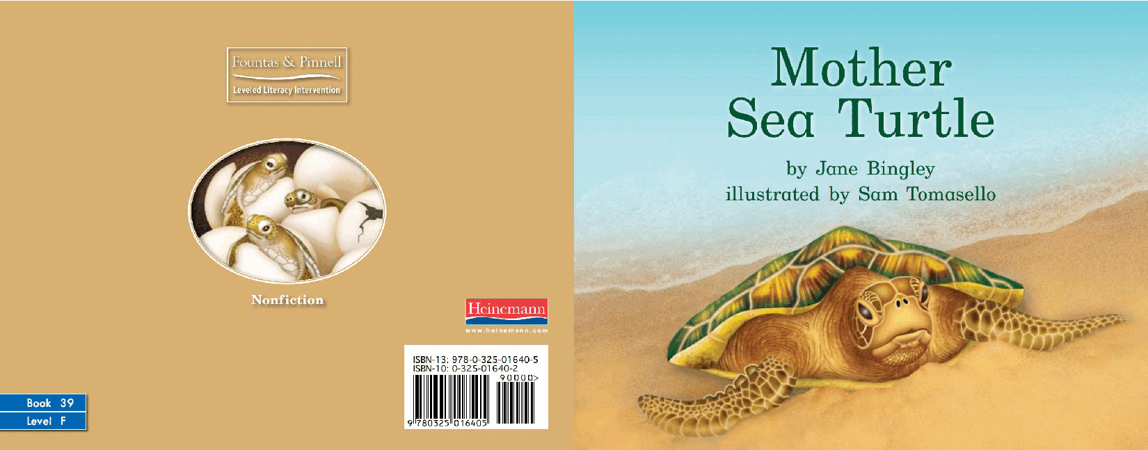 英国海尼曼G2级英语启蒙绘本39 Mother Sea Turtle.pdf,第1页预览