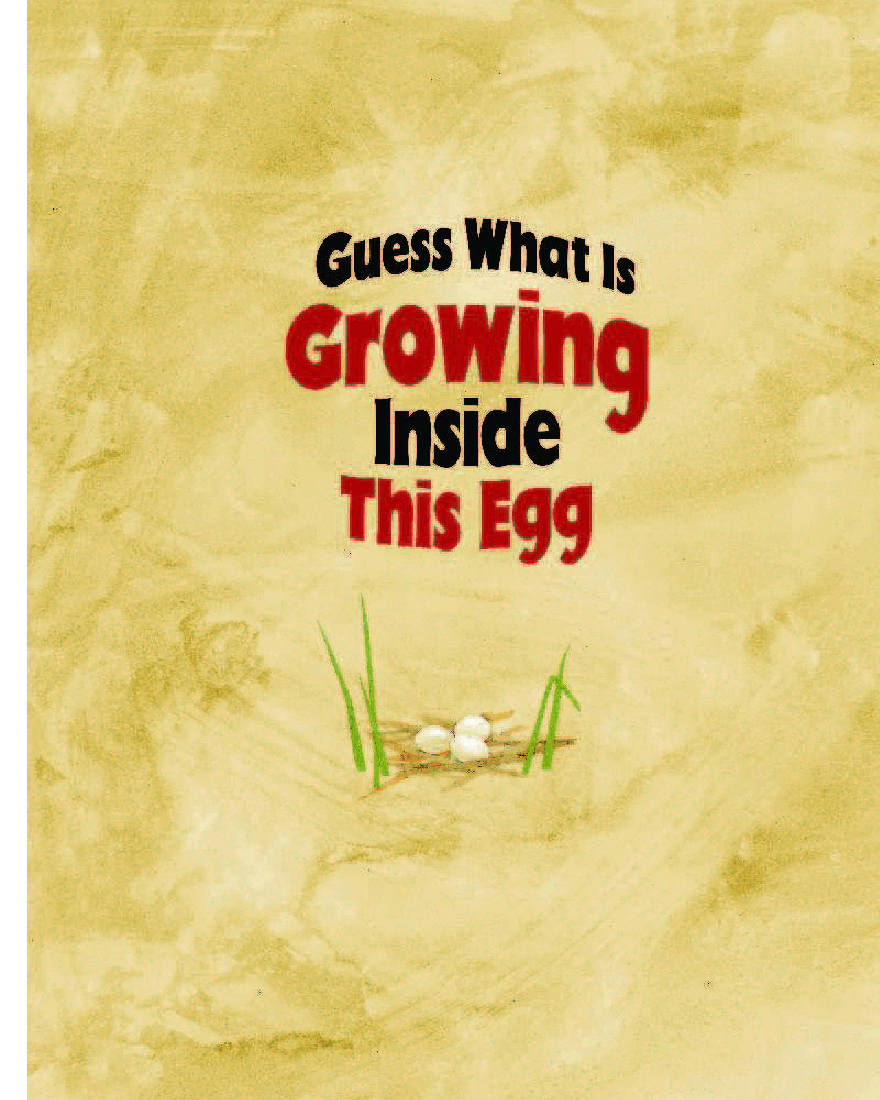 高清彩绘英文原版绘本Guess What is Growing inside the Egg.pdf,第3页预览