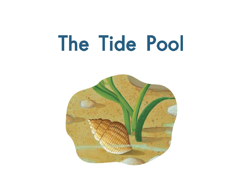 英国海尼曼G2级英语启蒙绘本4 The Tide Pool.pdf,第3页预览