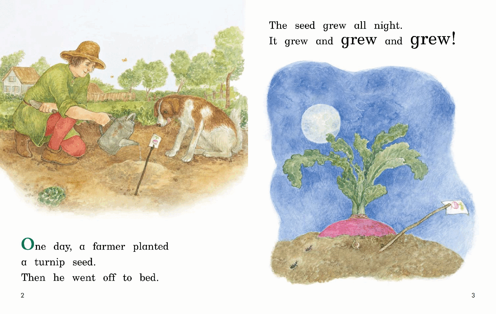 英国海尼曼G2级英语启蒙绘本51 The Great Big Enormous Turnip.pdf,第4页预览