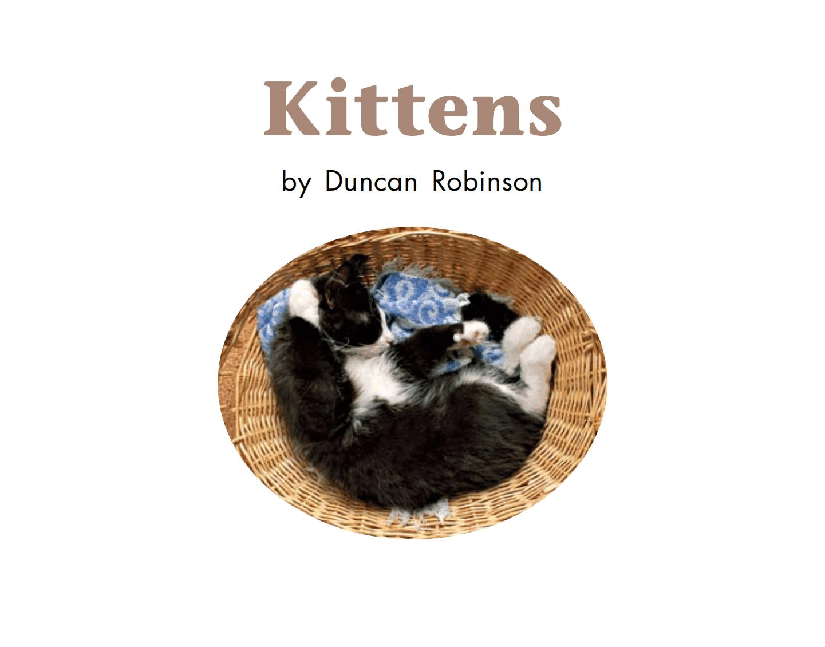 英国海尼曼G2级英语启蒙绘本26 Kittens.pdf,第3页预览