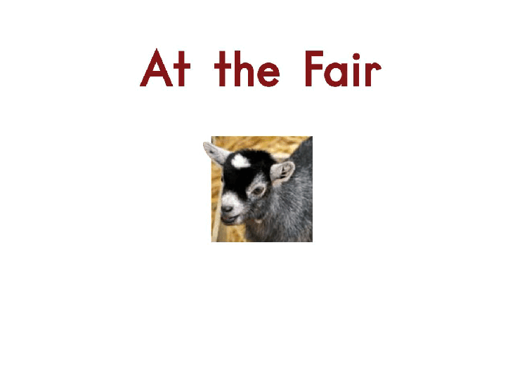 英国海尼曼G2级英语启蒙绘本12 At the Fair.pdf,第3页预览