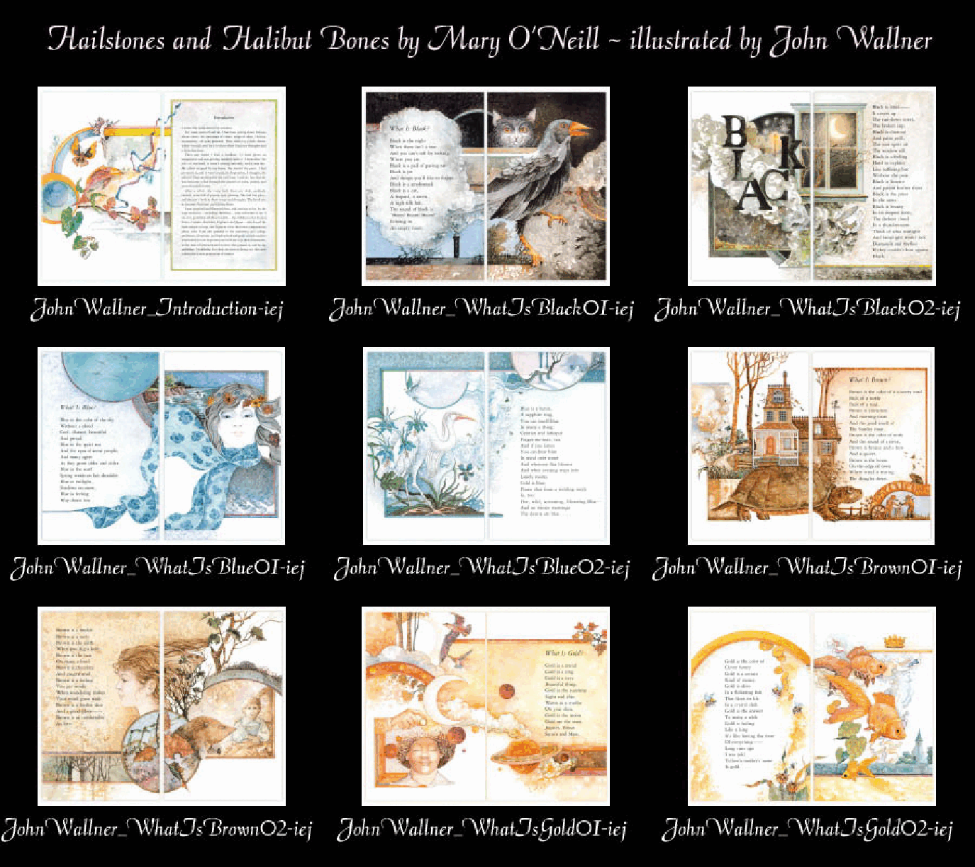 高清彩绘英文原版绘本The Colors.pdf,第1页预览