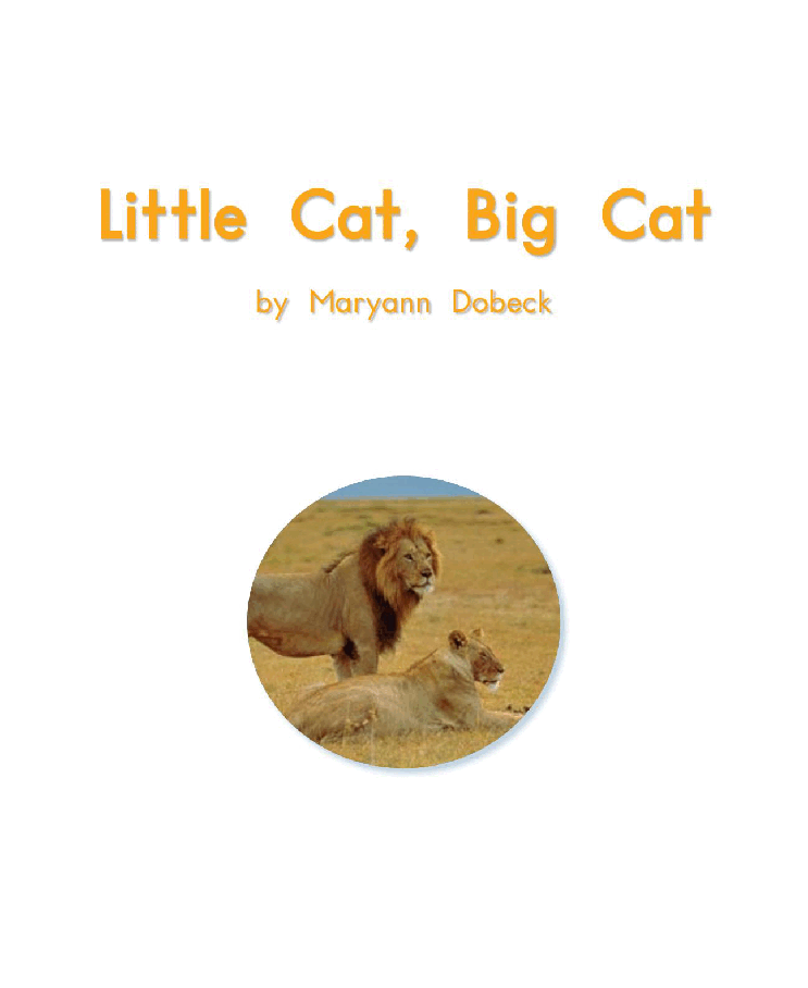 英国海尼曼G2级英语启蒙绘本97 Little Cat,Big Cat.pdf,第3页预览