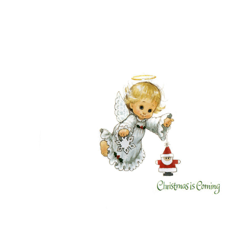 (4-5岁)国外早教机构推荐彩绘英文童书Christmas is Coming.pdf,第2页预览