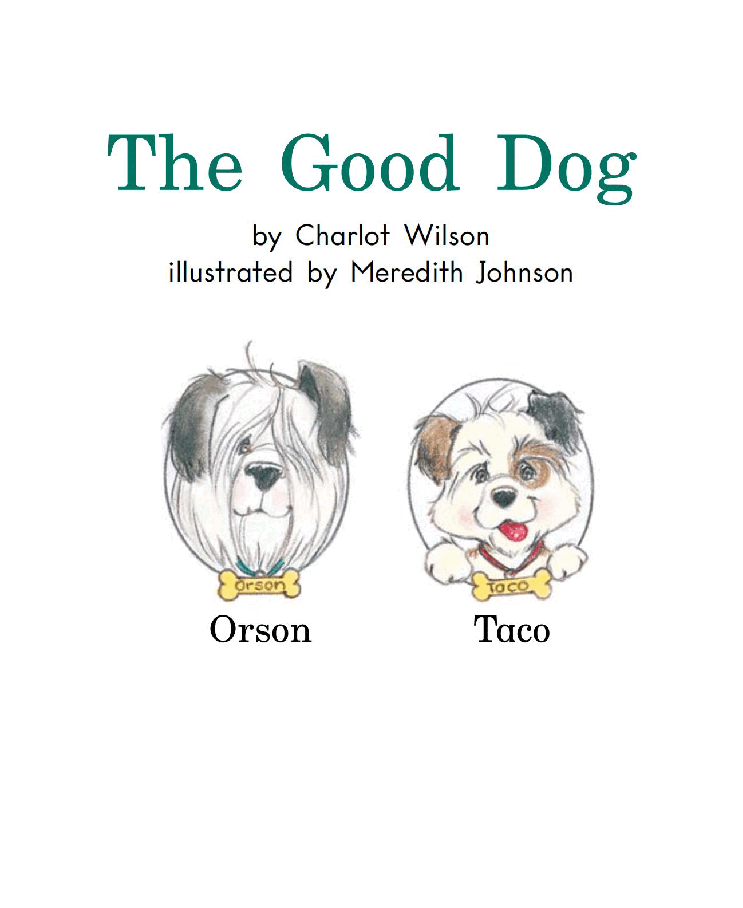 英国海尼曼G1级英语启蒙绘本47 The Good Dog.pdf,第3页预览