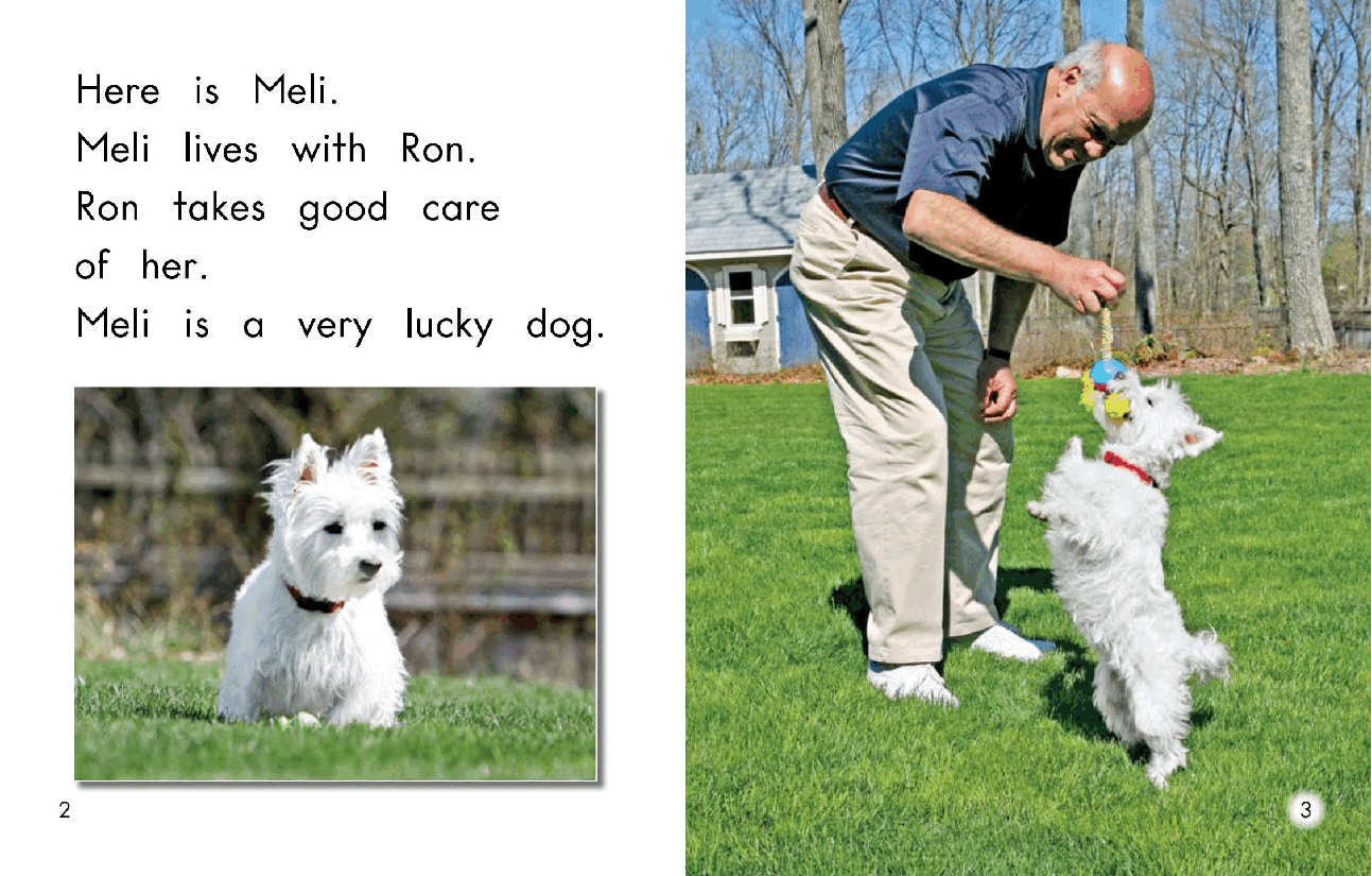 英国海尼曼G2级英语启蒙绘本37 Taking Care Of Meli.pdf,第4页预览