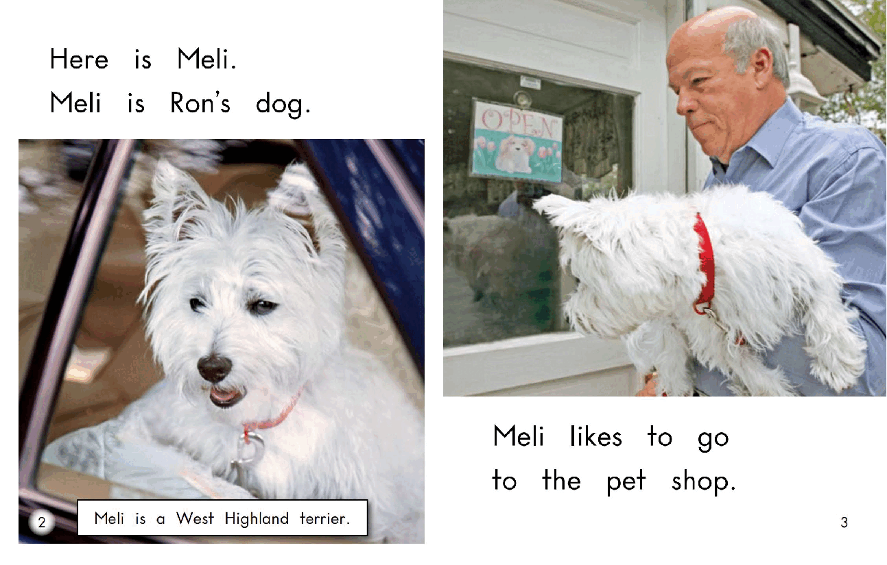 英国海尼曼G2级英语启蒙绘本23 Meli At The Pet Shop.pdf,第4页预览