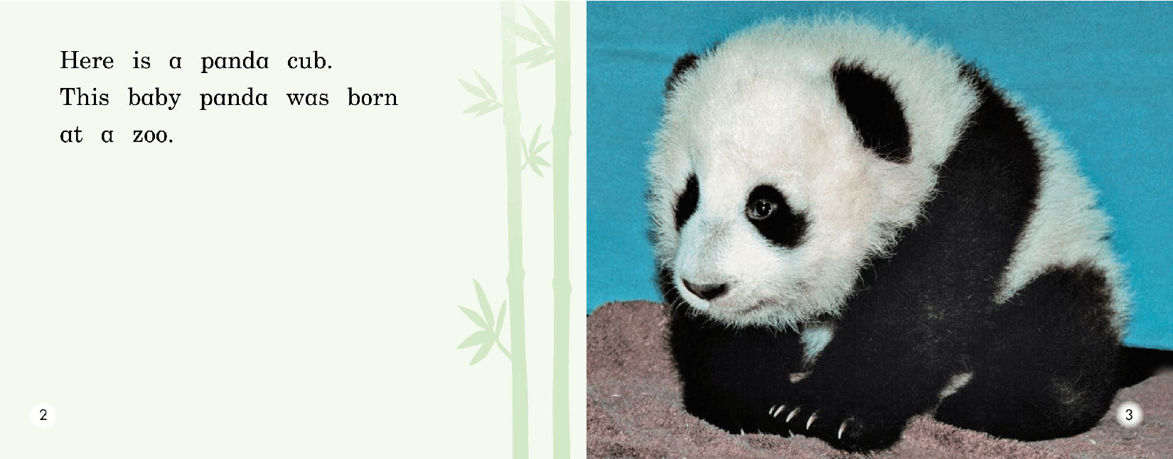 英国海尼曼G2级英语启蒙绘本64 A Party For Panda.pdf,第4页预览