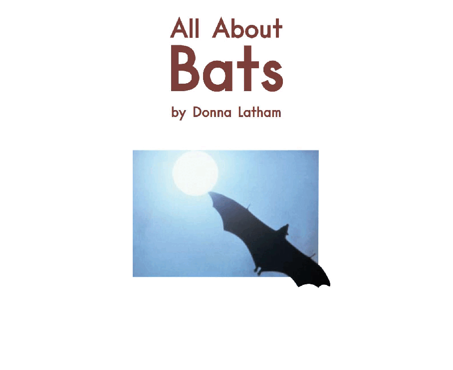英国海尼曼G2级英语启蒙绘本73 All About Bats.pdf,第3页预览