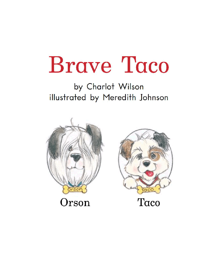 英国海尼曼G1级英语启蒙绘本80 Brave Taco.pdf,第3页预览