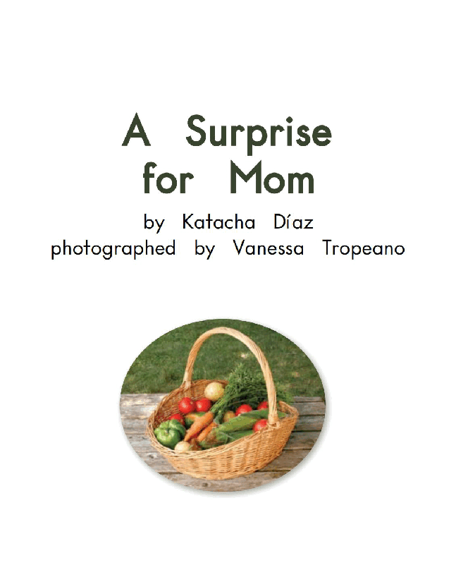 英国海尼曼G1级英语启蒙绘本78 A Surprise For Mom.pdf,第3页预览