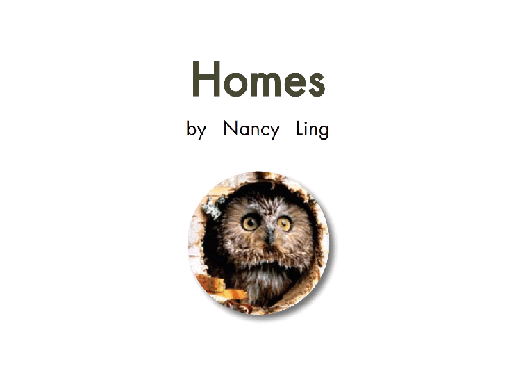 英国海尼曼G1级英语启蒙绘本37 Homes.pdf,第3页预览