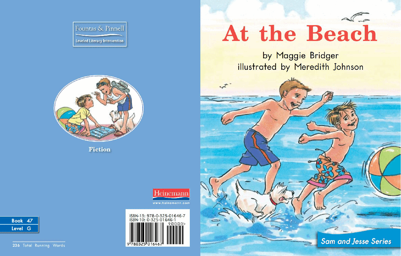 英国海尼曼G2级英语启蒙绘本47 At The Beach.pdf,第1页预览