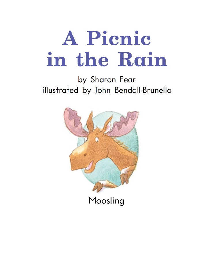 英国海尼曼G2级英语启蒙绘本15 A Picnic In The Rain.pdf,第3页预览