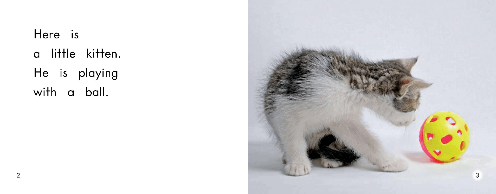 英国海尼曼G2级英语启蒙绘本26 Kittens.pdf,第4页预览