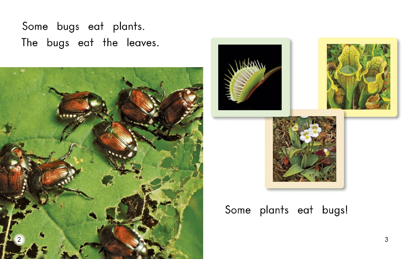 英国海尼曼G2级英语启蒙绘本59 Plants That Eat Bugs.pdf,第4页预览