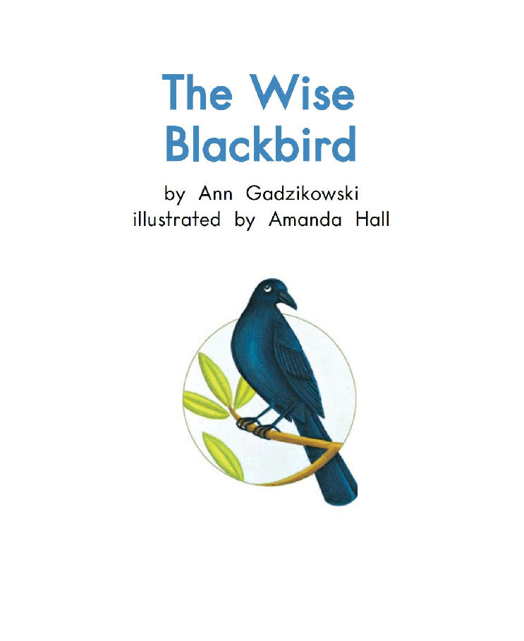 英国海尼曼G2级英语启蒙绘本84 The Wise Black bird.pdf,第3页预览