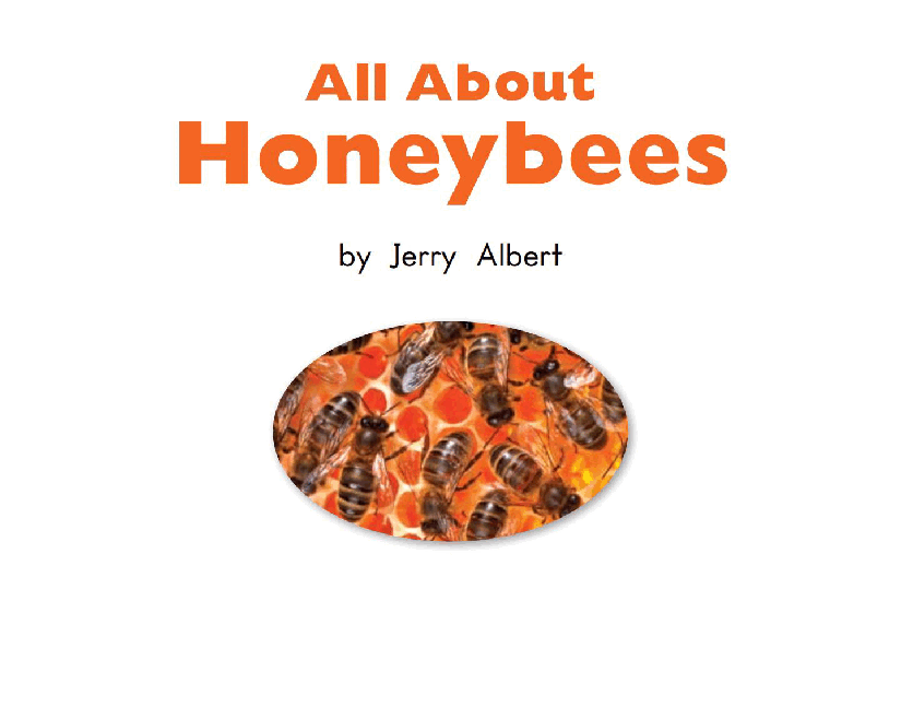 英国海尼曼G1级英语启蒙绘本99 All About Honey bees.pdf,第3页预览