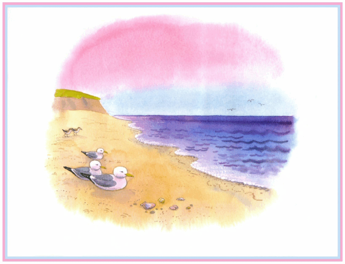(0-3岁)国外早教机构推荐彩绘英文童书Beach Day.pdf,第4页预览