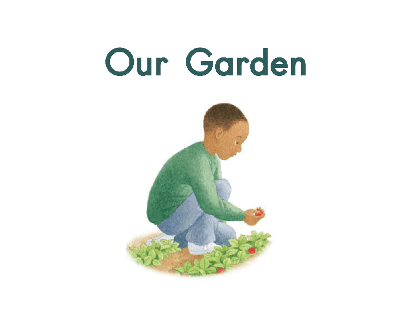 英国海尼曼G1级英语启蒙绘本27 Our Garden.pdf,第3页预览