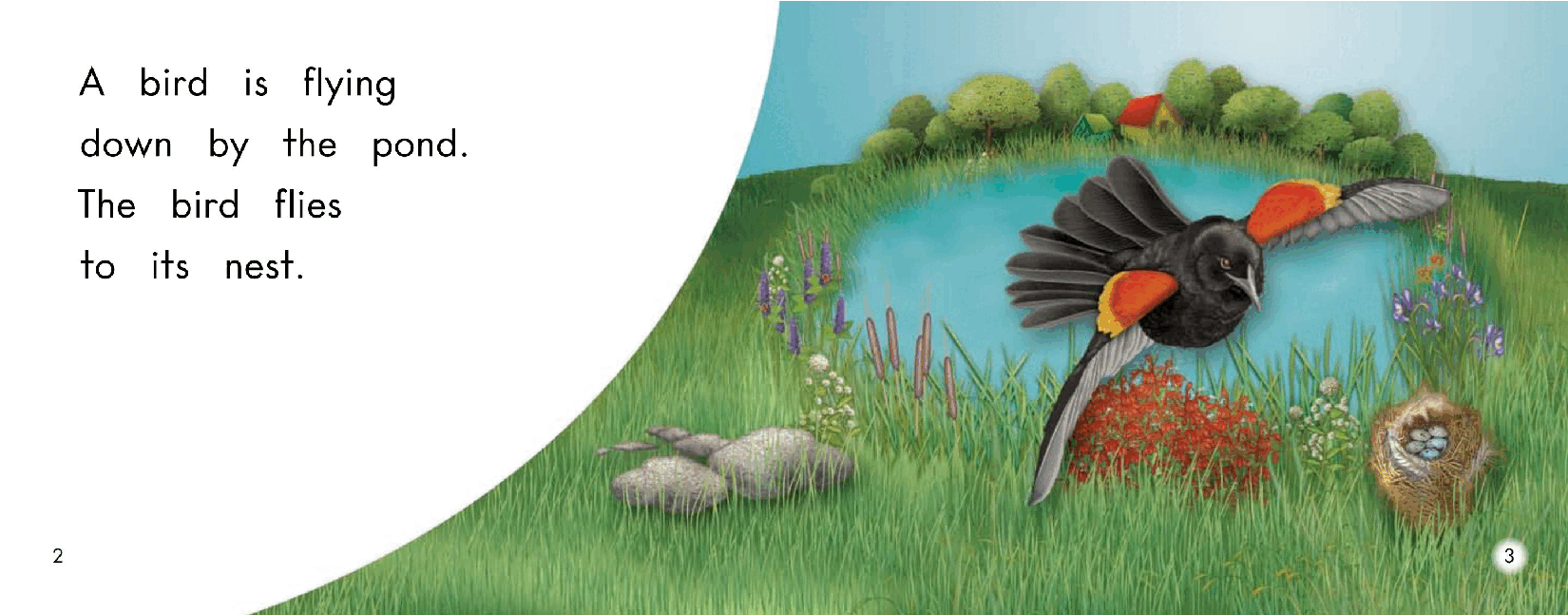 英国海尼曼G2级英语启蒙绘本52 Down By The Pond.pdf，第4页预览