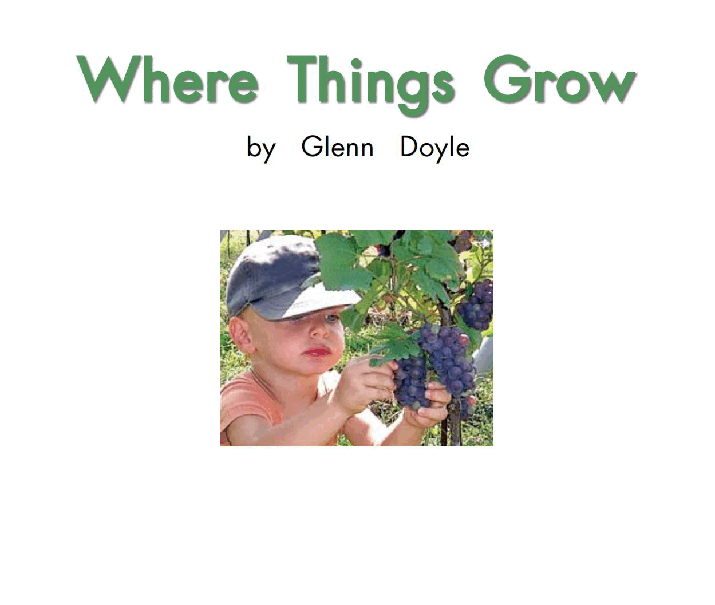 英国海尼曼G1级英语启蒙绘本09 Where Things Grow.pdf,第3页预览