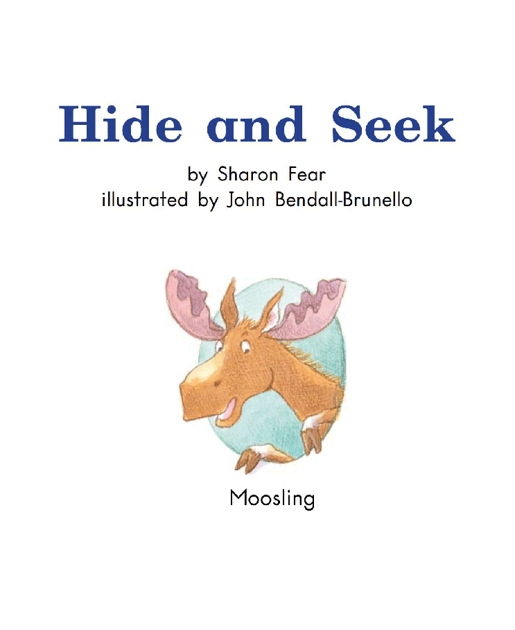 英国海尼曼G2级英语启蒙绘本96 Hide And Seek.pdf,第3页预览