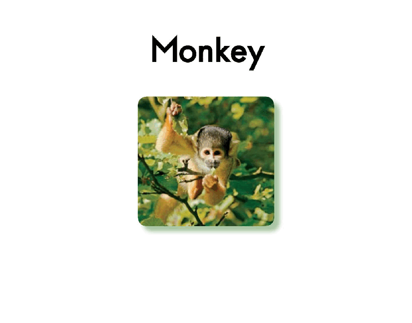 英国海尼曼G1级英语启蒙绘本16 Monkey.pdf,第3页预览