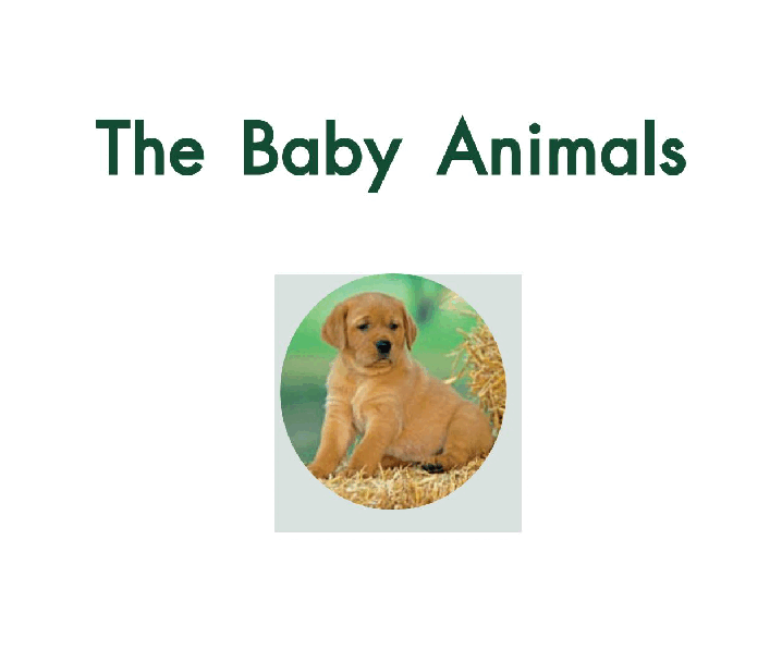 英国海尼曼GK级英语启蒙绘本004TheBabyAnimals.pdf,第3页预览