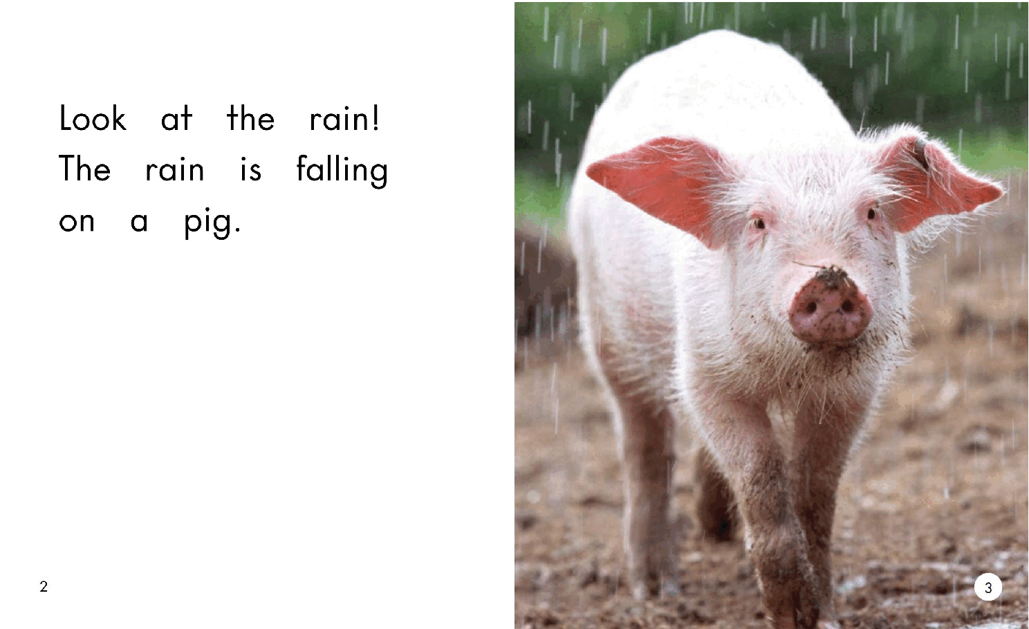 英国海尼曼GK级英语启蒙绘本043Rain.pdf,第4页预览