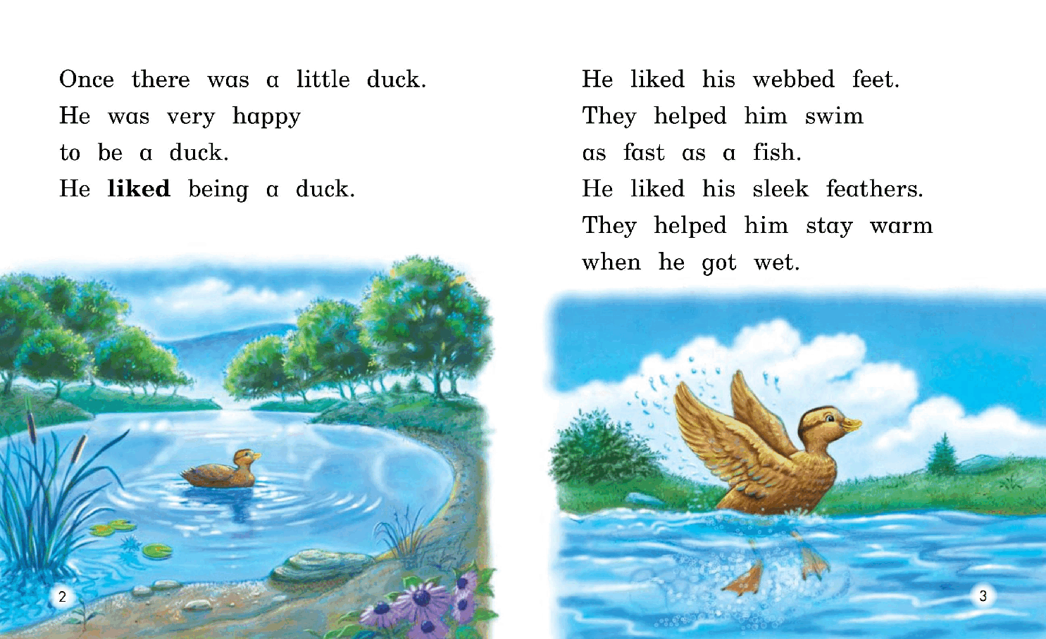 英国海尼曼G2级英语启蒙绘本82 The Singing Duck.pdf,第4页预览