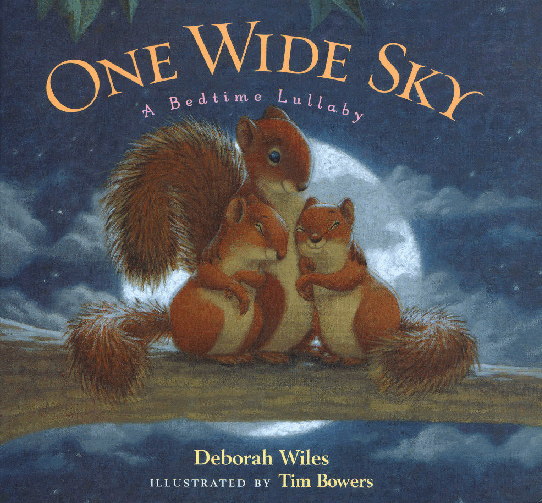 (0-3岁)国外早教机构推荐彩绘英文童书One Wide sky.pdf,第1页预览