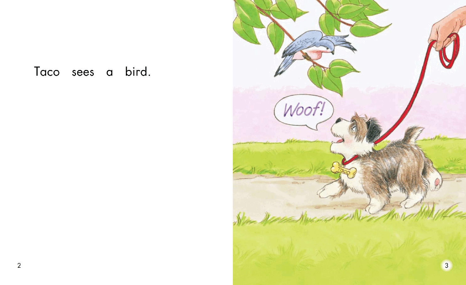 英国海尼曼G1级英语启蒙绘本12 Woof!.pdf,第4页预览