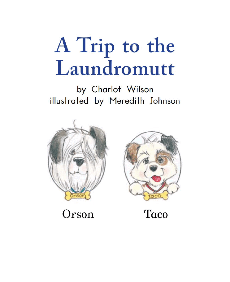 英国海尼曼G1级英语启蒙绘本110 A Trip to the Laundramutt.pdf,第3页预览