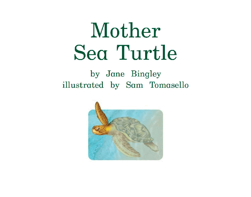 英国海尼曼G2级英语启蒙绘本39 Mother Sea Turtle.pdf,第3页预览