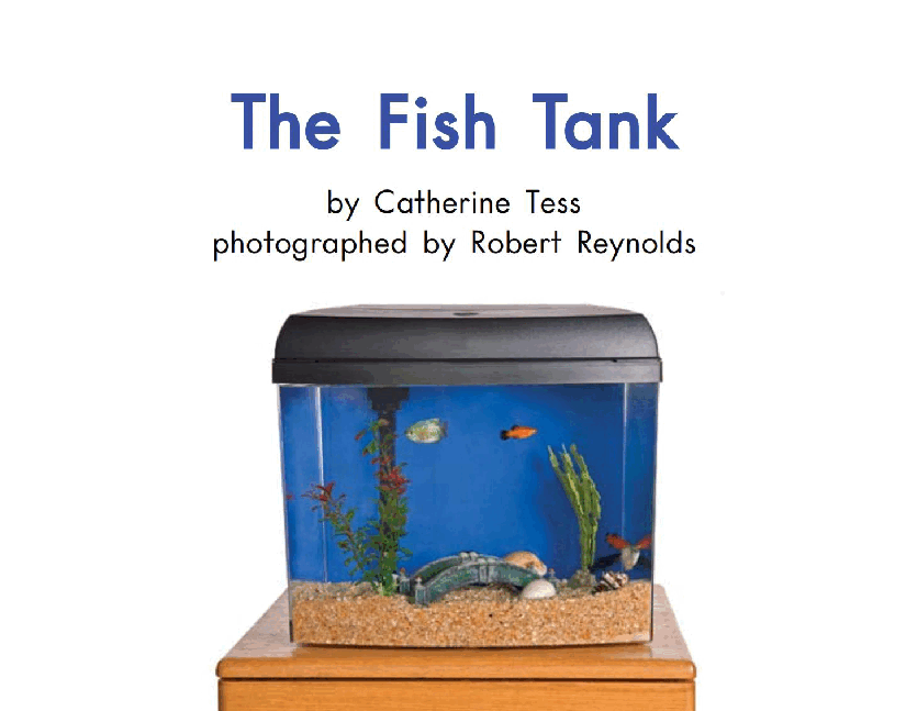 英国海尼曼G2级英语启蒙绘本24 The Fish Tank.pdf,第3页预览