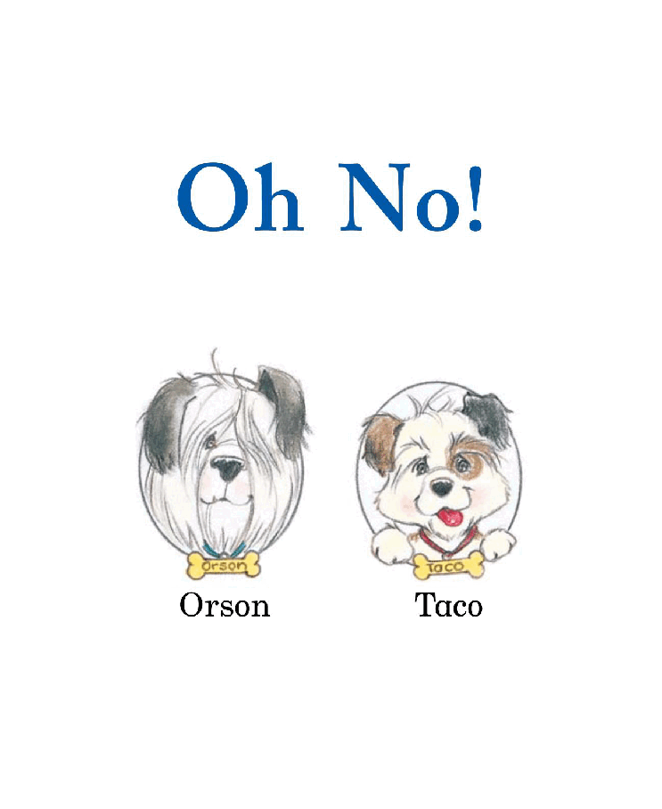 英国海尼曼G1级英语启蒙绘本17 Oh No!.pdf,第3页预览