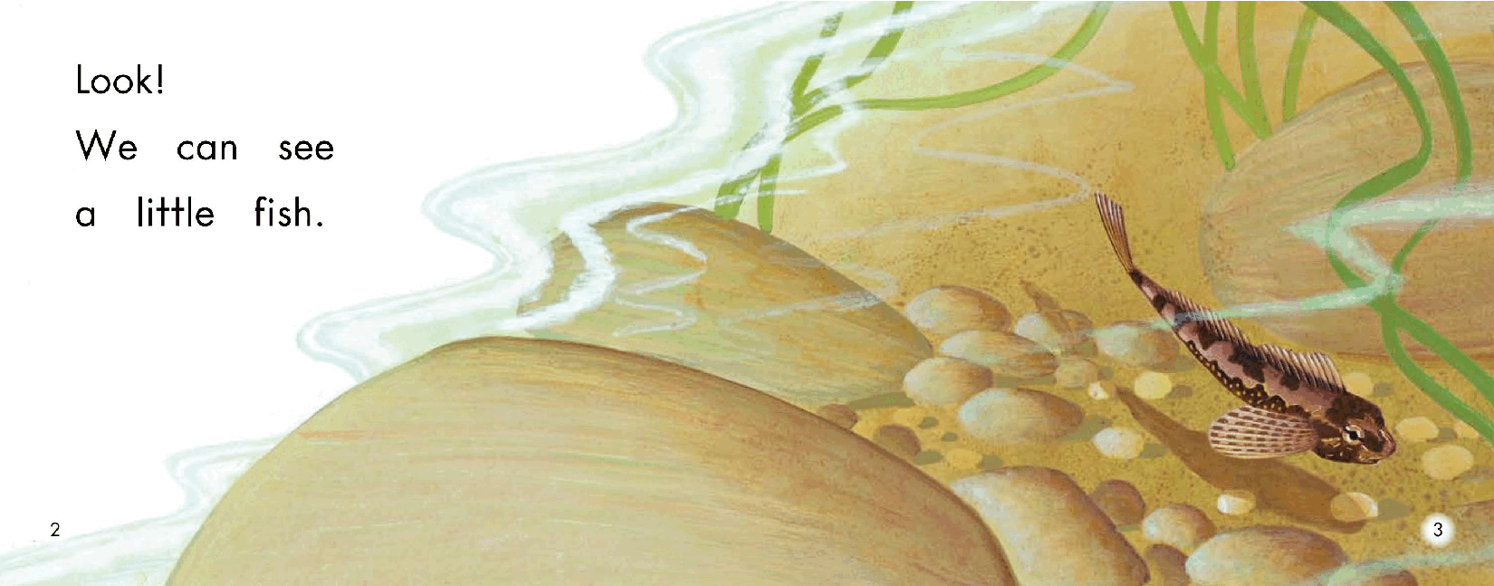 英国海尼曼G2级英语启蒙绘本4 The Tide Pool.pdf,第4页预览