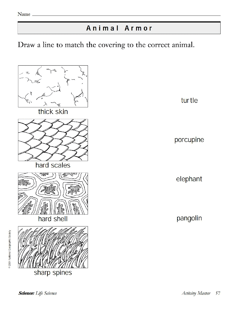 国家地理少儿百科提高级Early23 Animal Armor 教学指导.pdf,第4页预览