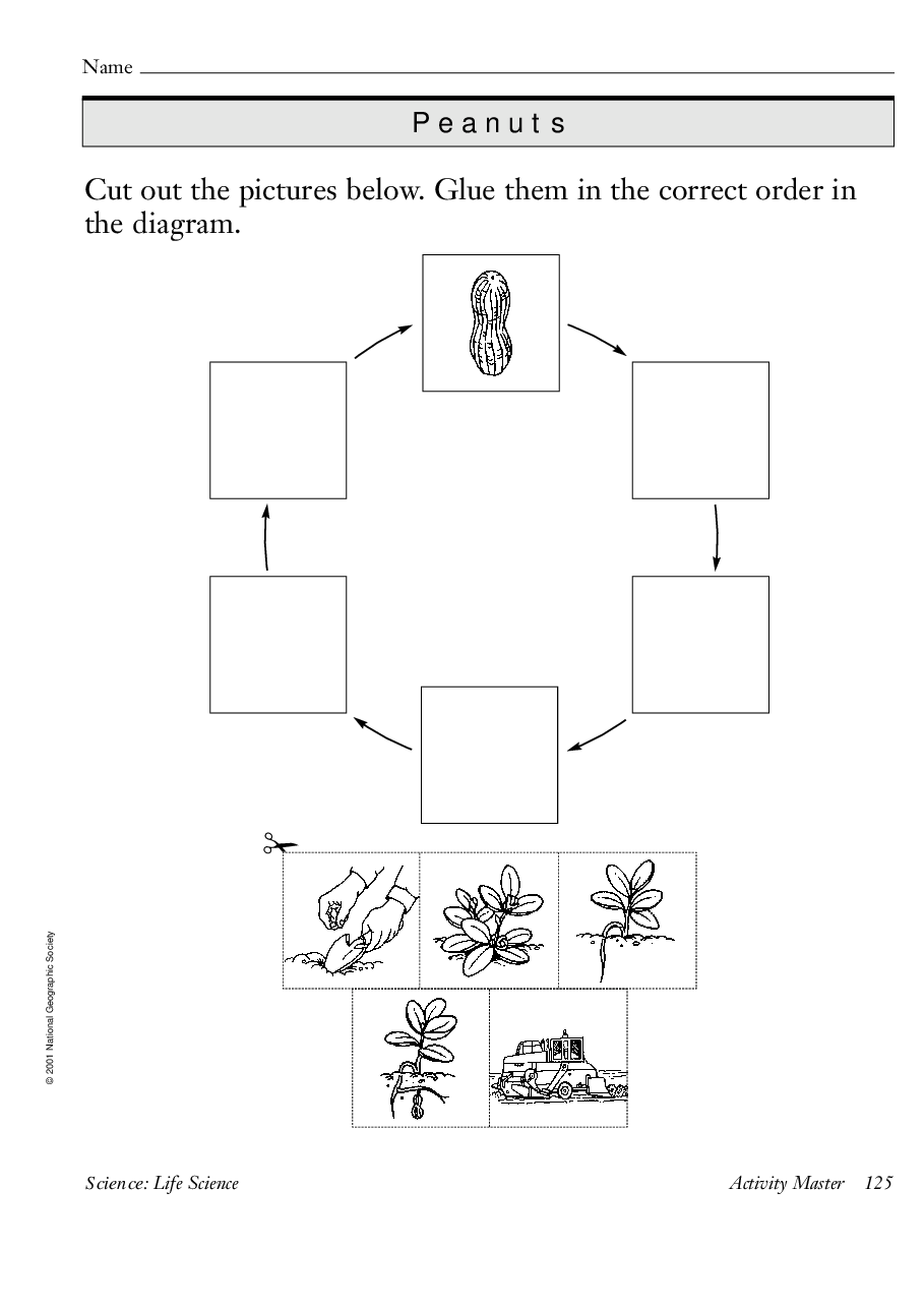 国家地理百科流利级英文绘本Fluent20 peanuts 教学指导.pdf,第4页预览