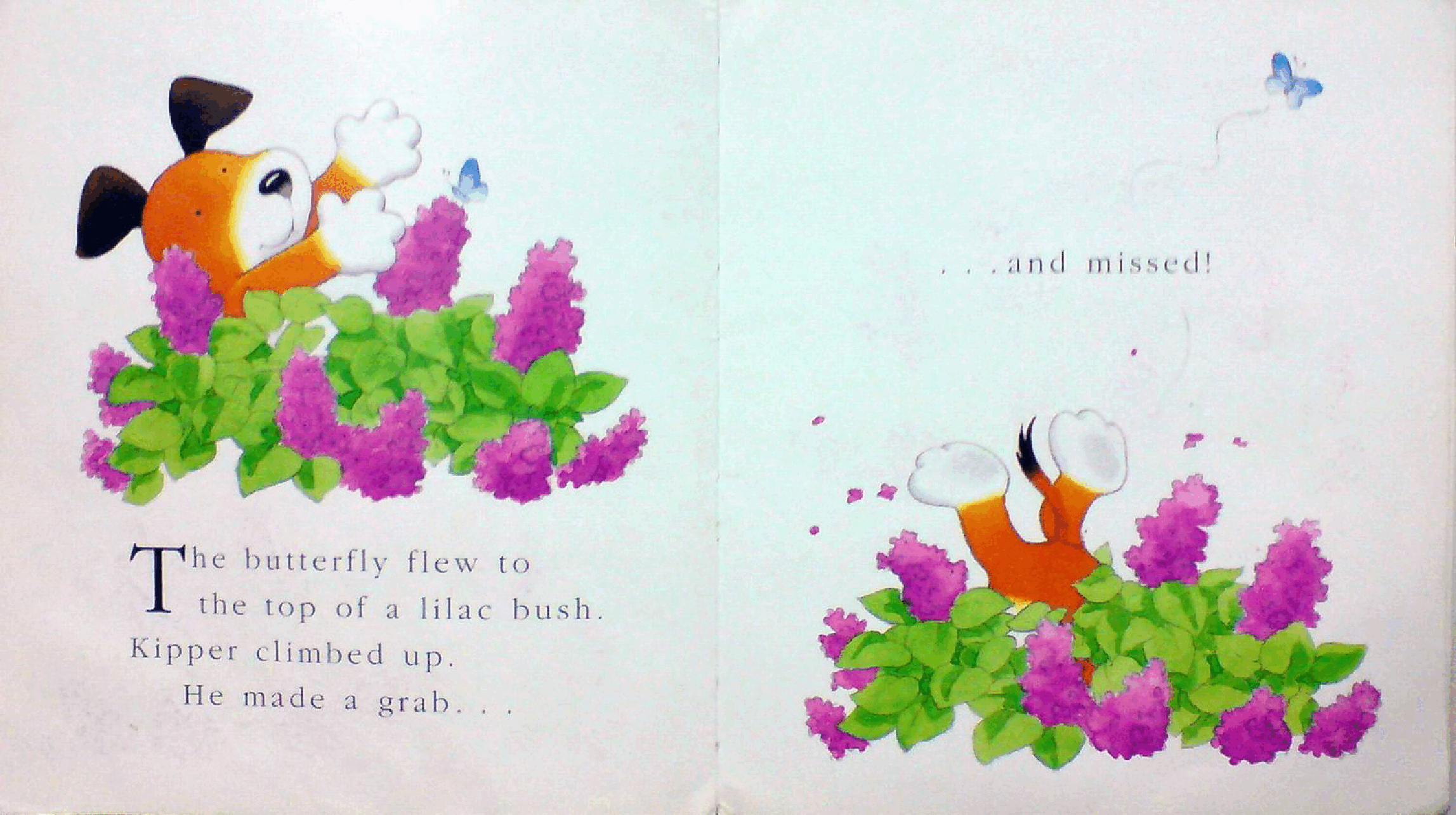 小狗卡皮系列绘本14册之Little_Kippers_Butterfly.pdf,第4页预览