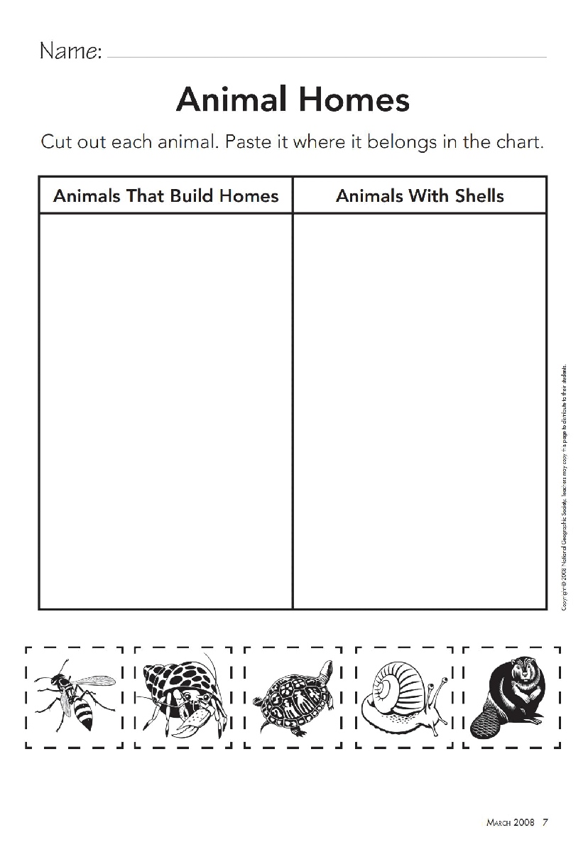 美国国家地理幼儿版Febuary_Young_Exp_teachers_guide.pdf,第2页预览