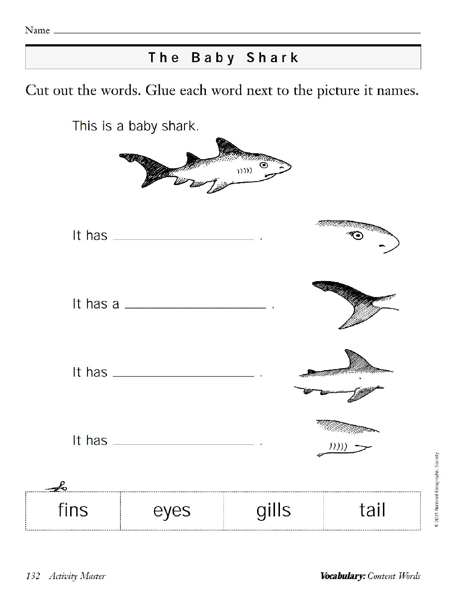 国家地理少儿百科入门级Emergent11 the baby shark 教学指导.pdf，第3页预览