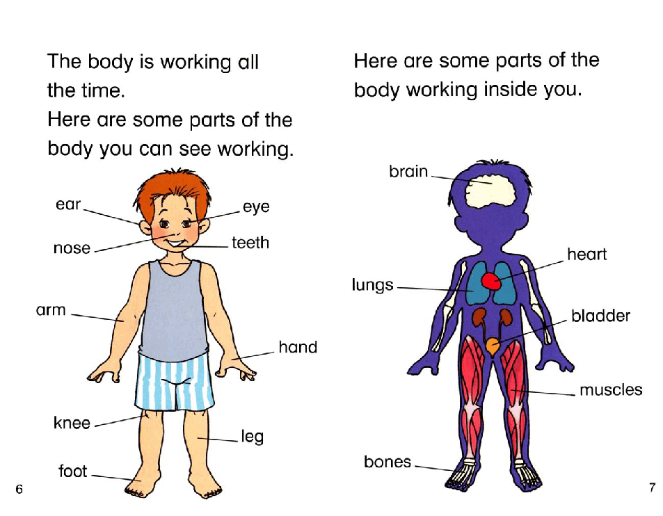 启蒙英语绘本The Body.pdf,第4页预览