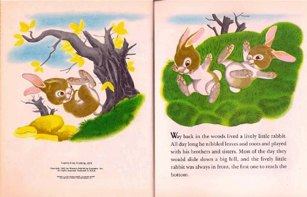 英语绘本A little Golden Books The Lively Little Rabbit.pdf,第3页预览