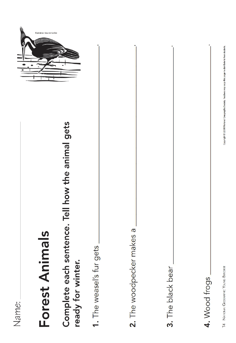 美国国家地理幼儿版Sept_Young_Exp_teachers_guide.pdf,第4页预览