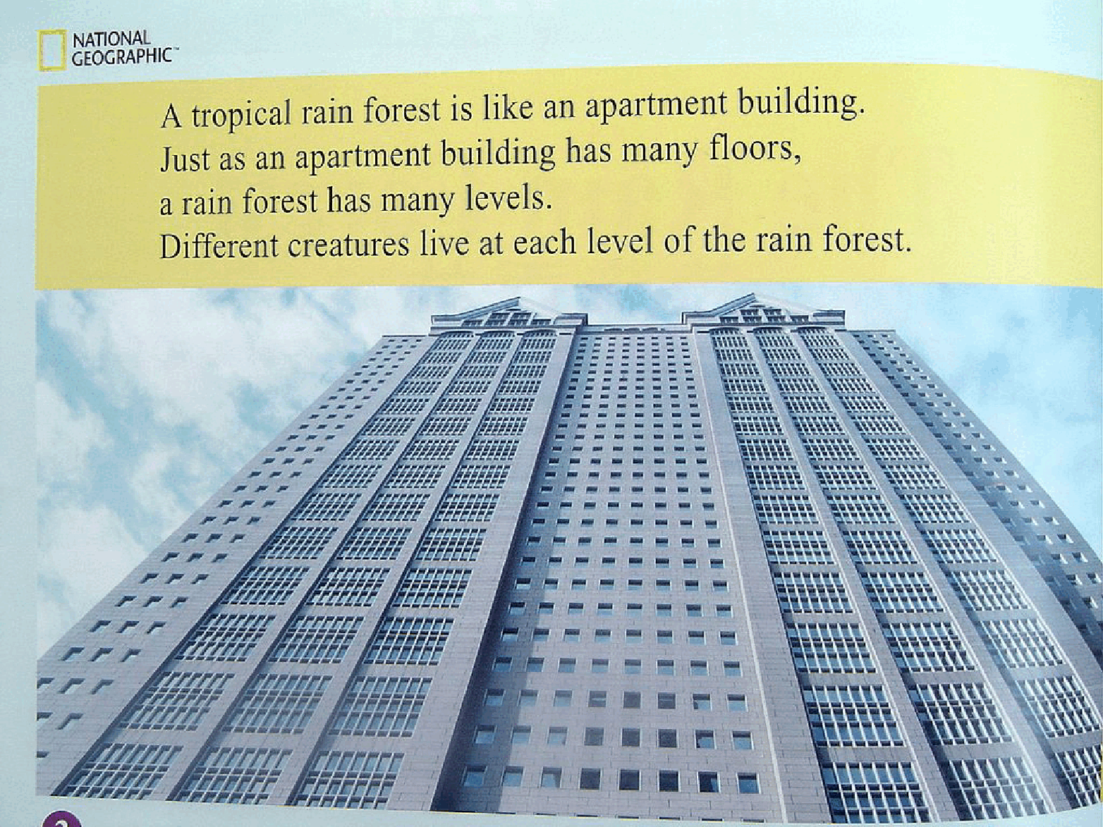 国家地理百科流利级英文绘本Fluent23 the rain forest 课文.pdf,第4页预览